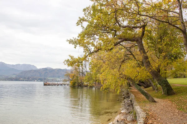 Podzimní Pohled Jezero Stromy Parku Toscana Gmunden — Stock fotografie
