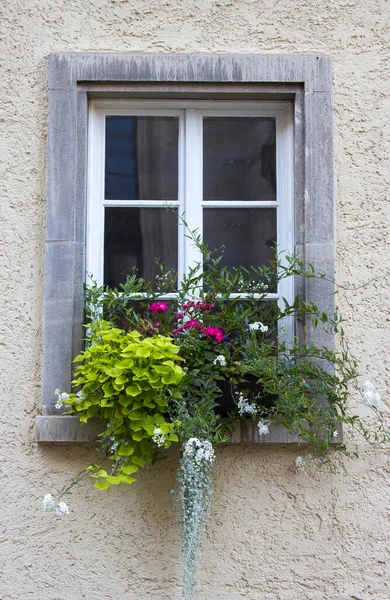 Stary Dom Saalfeld Okno Kwiatami Niemcy — Zdjęcie stockowe