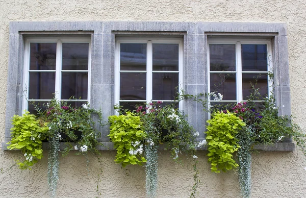 Antigua Casa Saalfeld Ventanas Con Flores Alemania — Foto de Stock