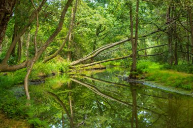 Nette Nehri, Aşağı Ren Bölgesi, Almanya