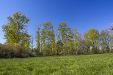 Alman kırsal alanı, Aşağı Ren Bölgesi, Almanya