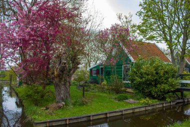Geleneksel evler içinde tarihi köy, Zaanse Schans'a Hollanda Zaan Nehri üzerinde