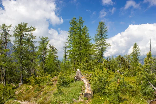Avusturya 'daki Lienz Dolomitlerinin manzarası. Doğu Tyrol