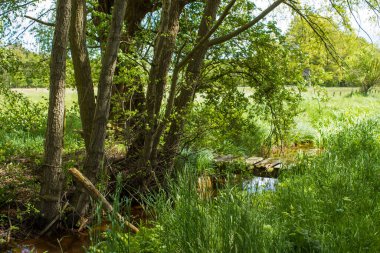 Alman kırsal alanı, Almanya 'nın Aşağı Ren Bölgesi
