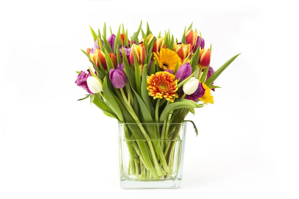 Blumen Einer Vase Auf Weißem Hintergrund — Stockfoto