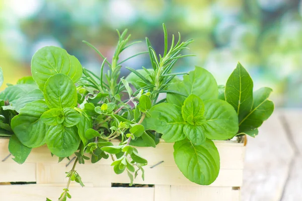 stock image Freshly harvested herbs in a basket