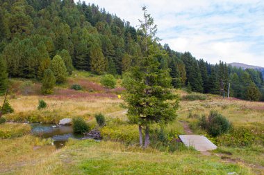 Austian Alps, Steiermark, Avusturya 'da manzara