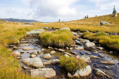 Avusturya Alpleri, Steiermark, Avusturya 'daki yeşil çayırlar üzerinde berrak bir dağ deresi