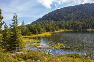 Austian Alps, Steiermark, Avusturya 'da manzara