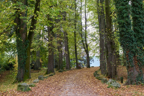 Podzim Parku Toscana Rakouském Gmundenu — Stock fotografie