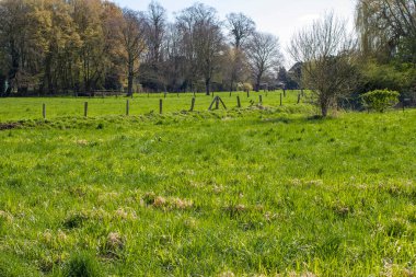 Alman kırsal alanı, Aşağı Ren Bölgesi