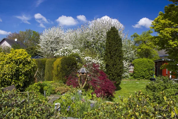 Árboles Flor Jardín Primavera Primavera Alemania — Foto de Stock
