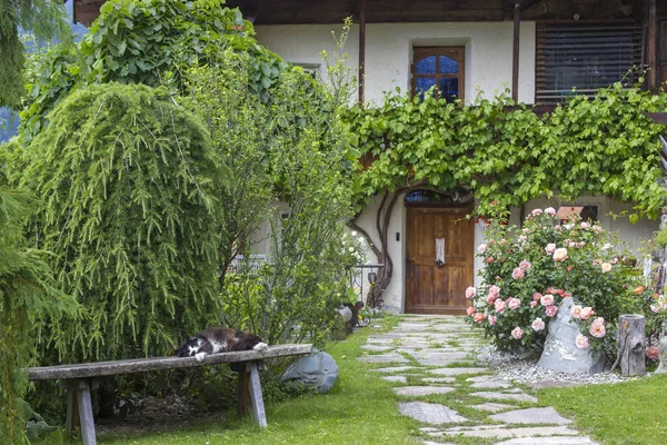 オーストリアの東チロル州ドエルサハの高山の村にある伝統的なオーストリアの山の家 — ストック写真