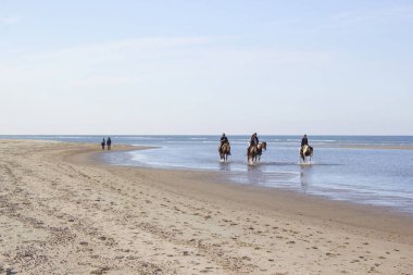 Renesse, Zeeland, Hollanda sahilde ata biniciler