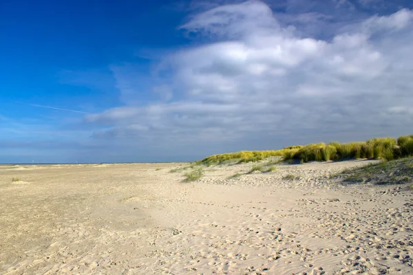 Die Dünen Renesse Zeeland Niederlande — Stockfoto