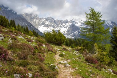 Devasa Alp dağlarının manzarası. Dachstein bölgesinin Avusturya Alplerinde (Avusturya 'da Styria) manzara)