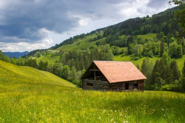 Yazın yeşil çayır, Dachstein bölgesi, Avusturya 'daki ahır eviyle çevrili bir manzara.