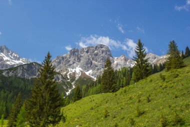 Devasa Alp dağlarının manzarası. Dachstein bölgesinin Avusturya Alplerinde (Avusturya 'da Styria) manzara)