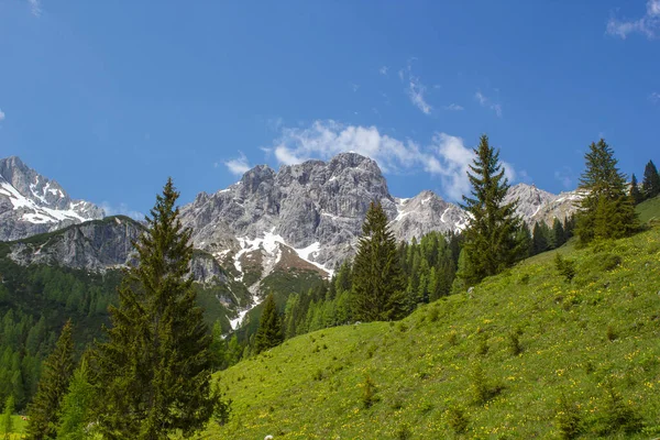 Πανόραμα Μαζικών Αλπικών Βουνών Τοπίο Στις Αυστριακές Άλπεις Της Περιοχής — Φωτογραφία Αρχείου