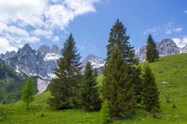 Devasa Alp dağlarının manzarası. Dachstein bölgesinin Avusturya Alplerinde (Avusturya 'da Styria) manzara)