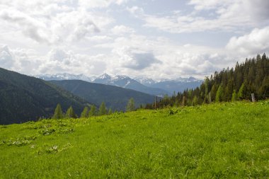 Büyük Alp dağlarının Panoraması - Dachstein bölgesinin Avusturya Alpleri (Avusturya 'da Styria)