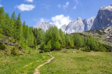 Büyük Alp dağlarının Panoraması - Dachstein bölgesinin Avusturya Alpleri (Avusturya 'da Styria)