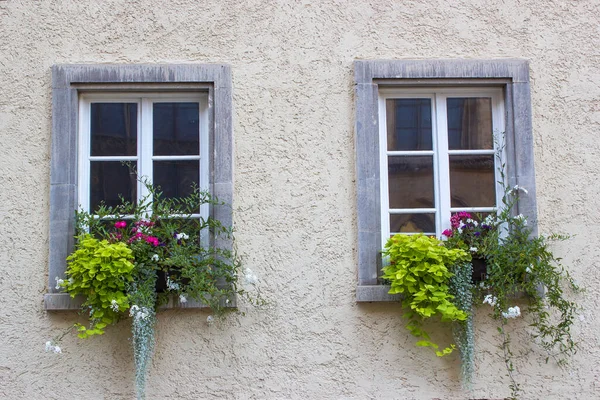 wall with windows and flower boxes with flowering plants