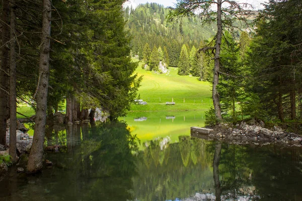 Lago Nos Alpes Austríacos Região Dachstein Estíria Áustria — Fotografia de Stock