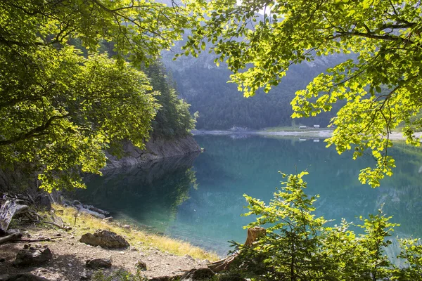 Lago Gosau Nos Alpes Austríacos Região Dachstein Estíria Áustria — Fotografia de Stock