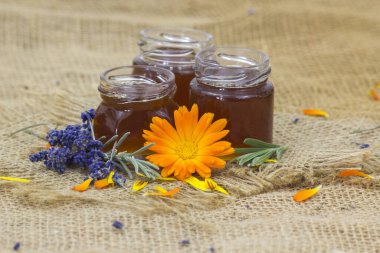 bal ve çiçekler - calendula ve lavanta