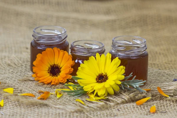 Honey Calendula Flowers Close — Stock Photo, Image