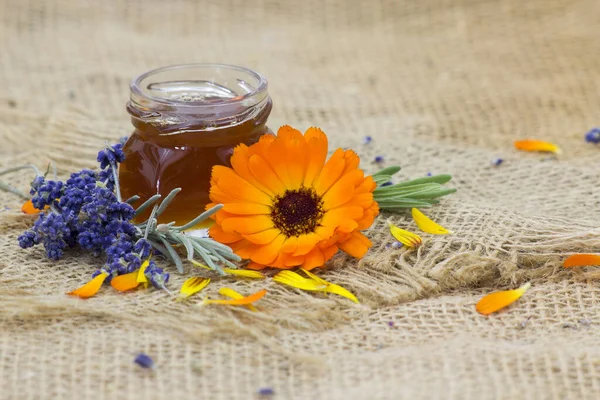 Méz Virágok Naptárak Levendula — Stock Fotó