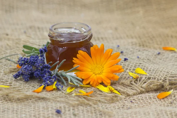 Honing Bloemen Calendula Lavendel — Stockfoto