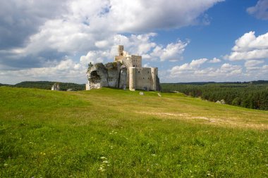 Ortaçağ şatosu Mirow 'un kalıntıları - Polonya' da Bobolice 'de Kartal Yuvası Yolu