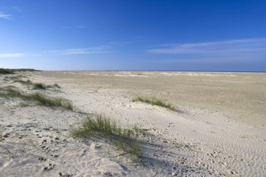 Renesse, Zeeland, Hollanda 'daki kum tepeleri ve plajlar