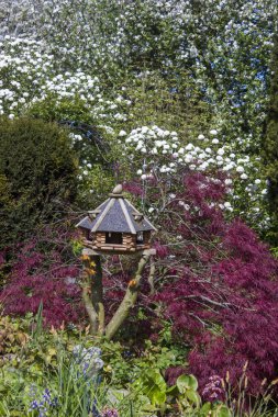İlkbaharda, Almanya 'da baharda açan ağaçlar