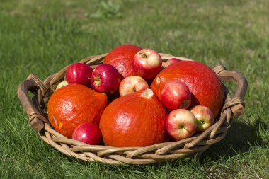 kabaklar ve elmalar çimlerin üzerinde bir sepetin içinde