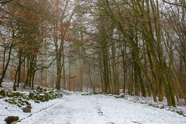 Almanya 'nın Kassel şehrinde bulunan Bergpark Wilhelmshoehe, Almanya' nın Kassel şehrinde eşsiz bir peyzaj parkı.