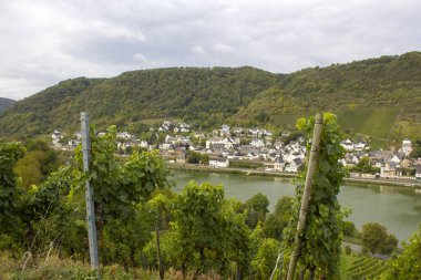 Almanya 'nın Moselle nehri ile Treis-Karden kasabası manzarası
