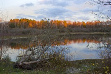 Hollanda 'daki Maasduinen Ulusal Parkı' nda gün batımı