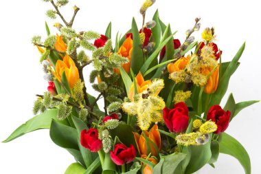 Beyaz arka planda Paskalya için laleler ve söğütler