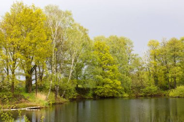 Alman kırsal alanı, Aşağı Ren Bölgesi, Almanya