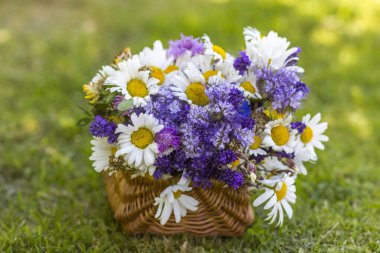 Sepetteki kır çiçekleri - yaz zamanı
