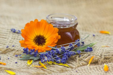 bal ve çiçekler - calendula ve lavanta