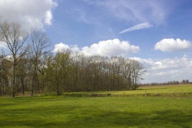Alman kırsal alanı, Aşağı Ren Bölgesi, Almanya