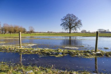 Almanya 'nın Aşağı Ren Bölgesi, Almanya' da kışın ağaçlı kırsal alan