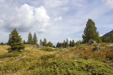 Austian Alps, Steiermark, Avusturya 'da manzara