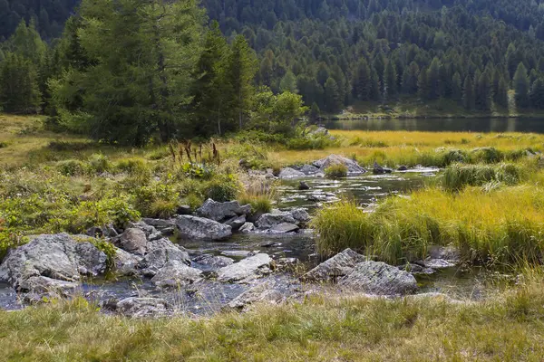 Austian Alps, Steiermark, Avusturya 'da manzara