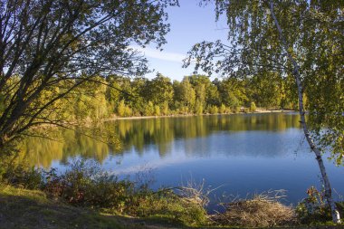 Hollanda 'daki Maasduinen Ulusal Parkı' ndaki manzara - sonbahar