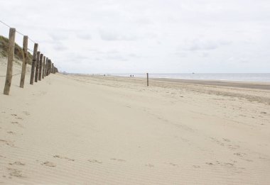 Plaj ve kum tepeleri Hollanda görüntüleyin